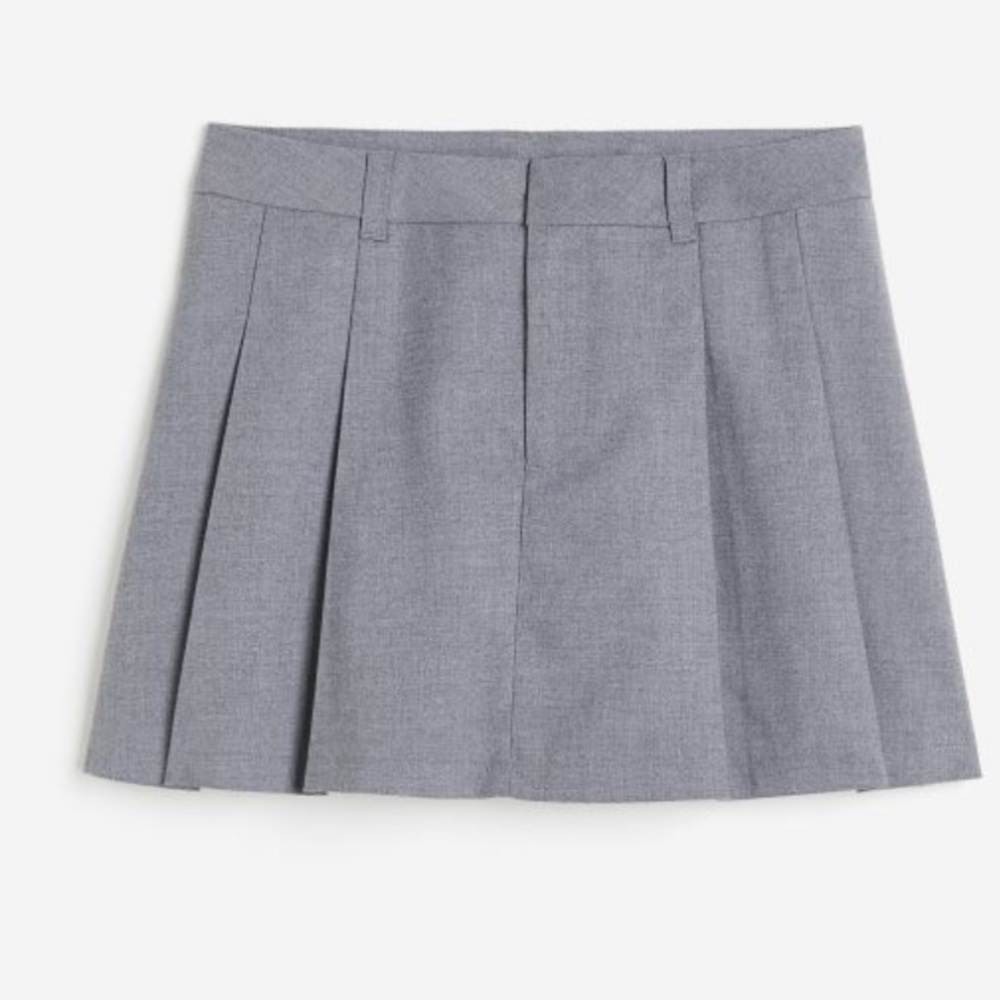 Pleated Skirt